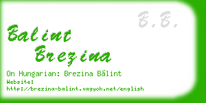 balint brezina business card